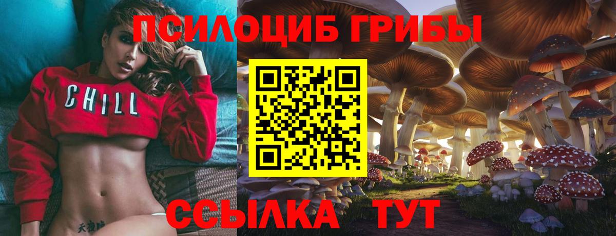 Псилоцибиновые грибы MAGIC MUSHROOMS  Псилоцибиновые грибы Magic Shrooms  Вход с VPN  Усолье-Сибирское 